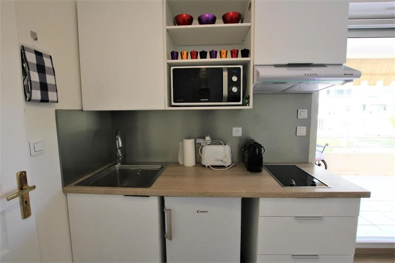 Appartement Climatise Bord De Mer Palm Beach Avec Grande Terrasse Cannes Apartment